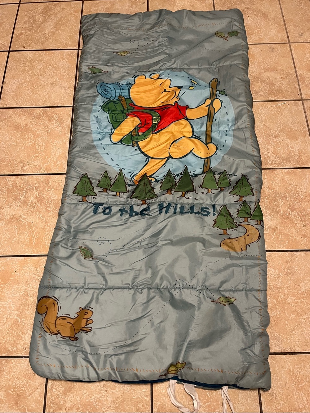 Vintage Disney's Winnie the Pooh Children's Sleeping Bag Cottagecore Woodland